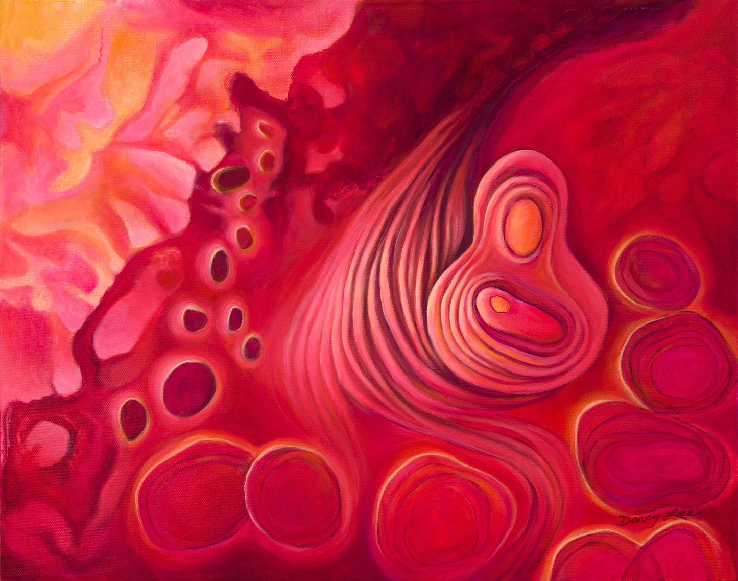 Anew - Studio Archive