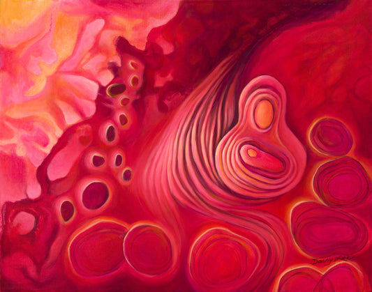 Anew - Studio Archive