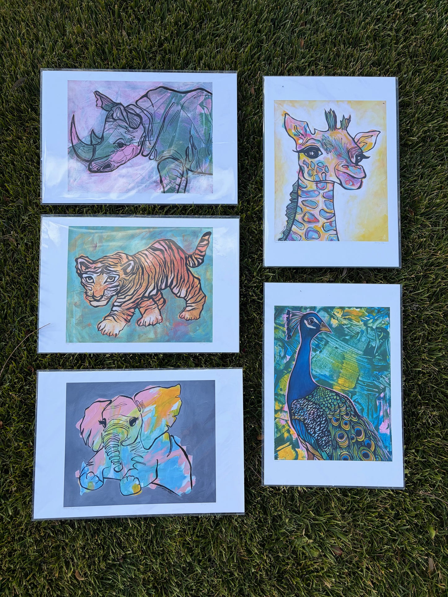 Animal Prints Grouping #1 - Studio Archive