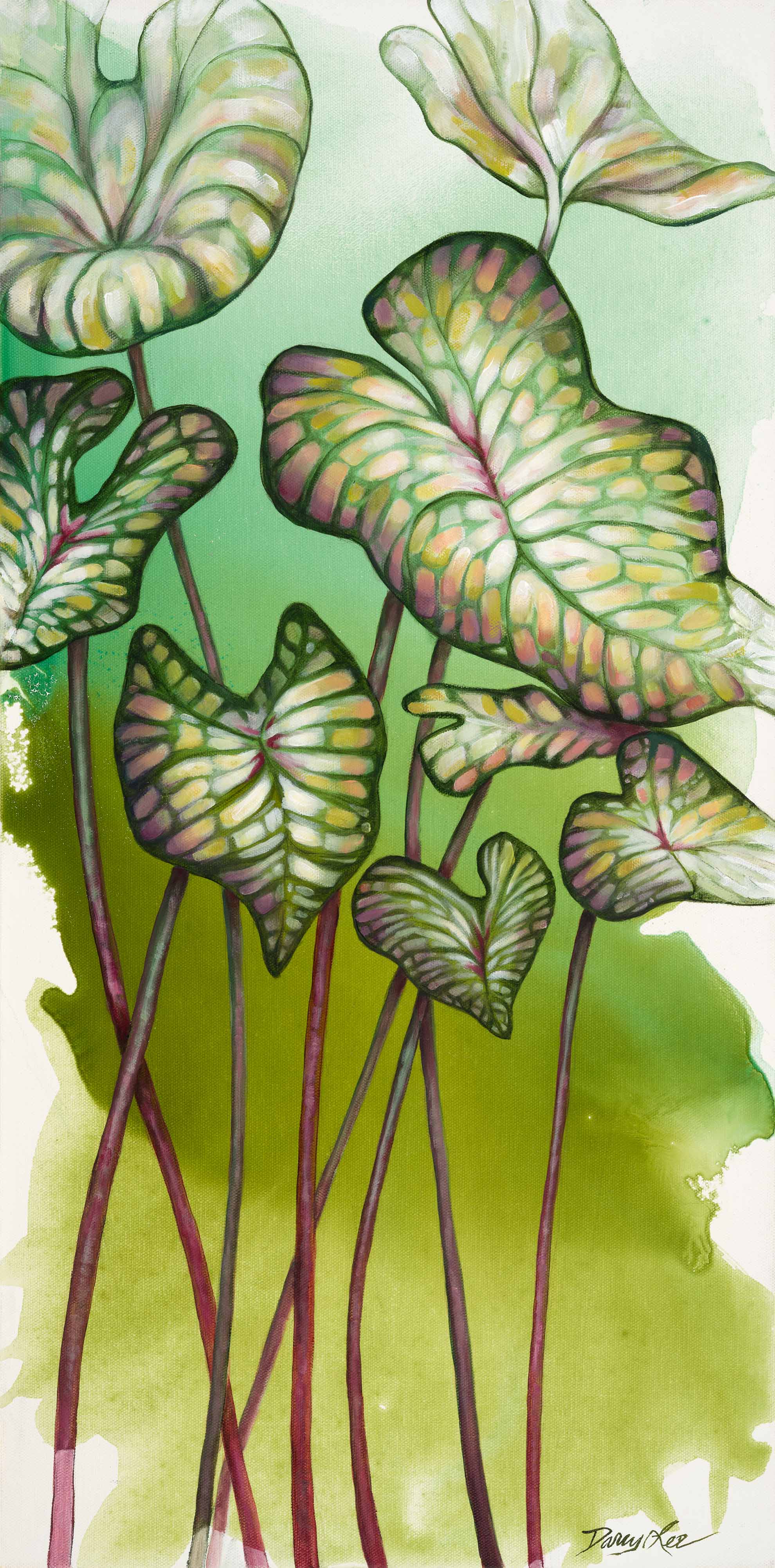 Lingered Picture Example Linger – DarcyLeeArt